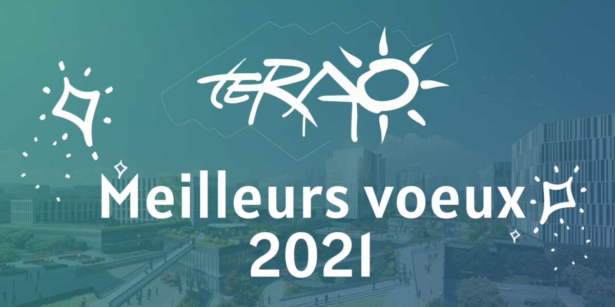 TERAO vous souhaite ses meilleurs voeux 2021