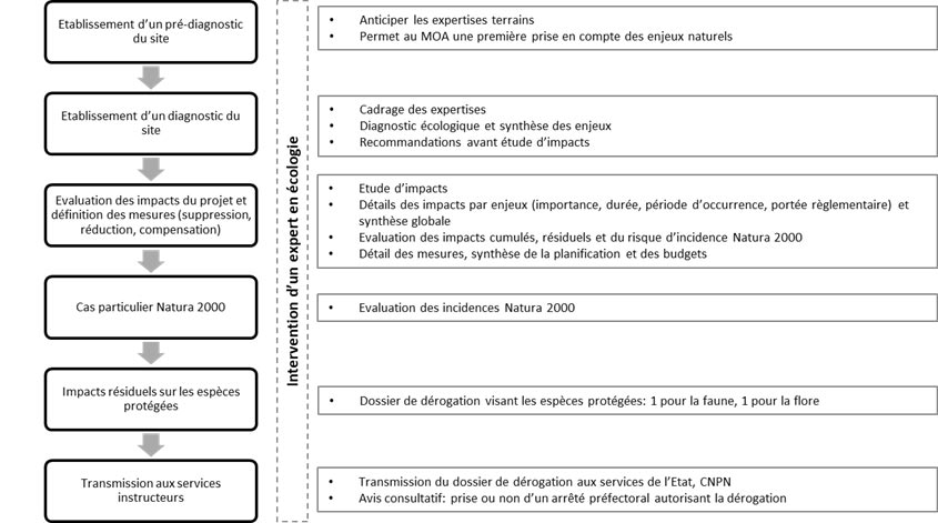 image-biodiversite