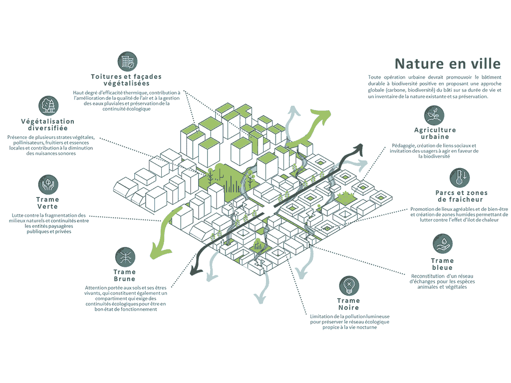 nature-en-ville